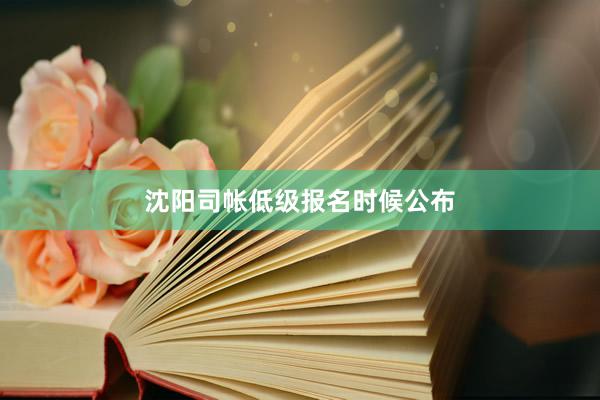 沈阳司帐低级报名时候公布