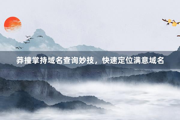莽撞掌持域名查询妙技，快速定位满意域名