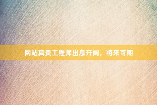 网站真贵工程师出息开阔，将来可期