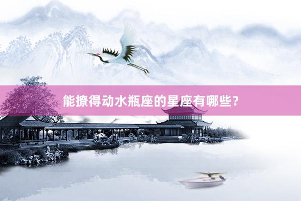能撩得动水瓶座的星座有哪些？