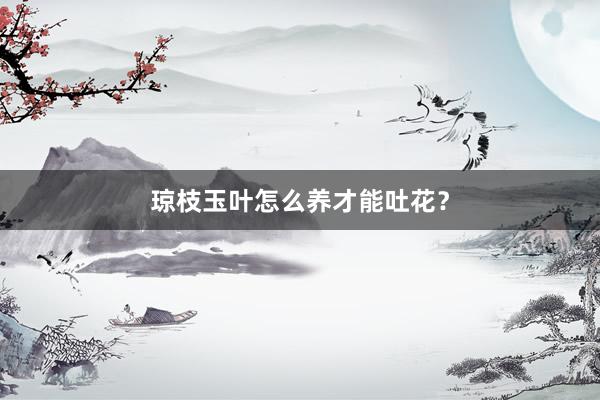 琼枝玉叶怎么养才能吐花？