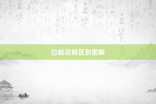 白鲢花鲢区别图解